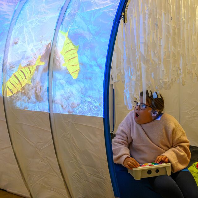 Giant Tickle Tunnel - Mobility Sensory Toy