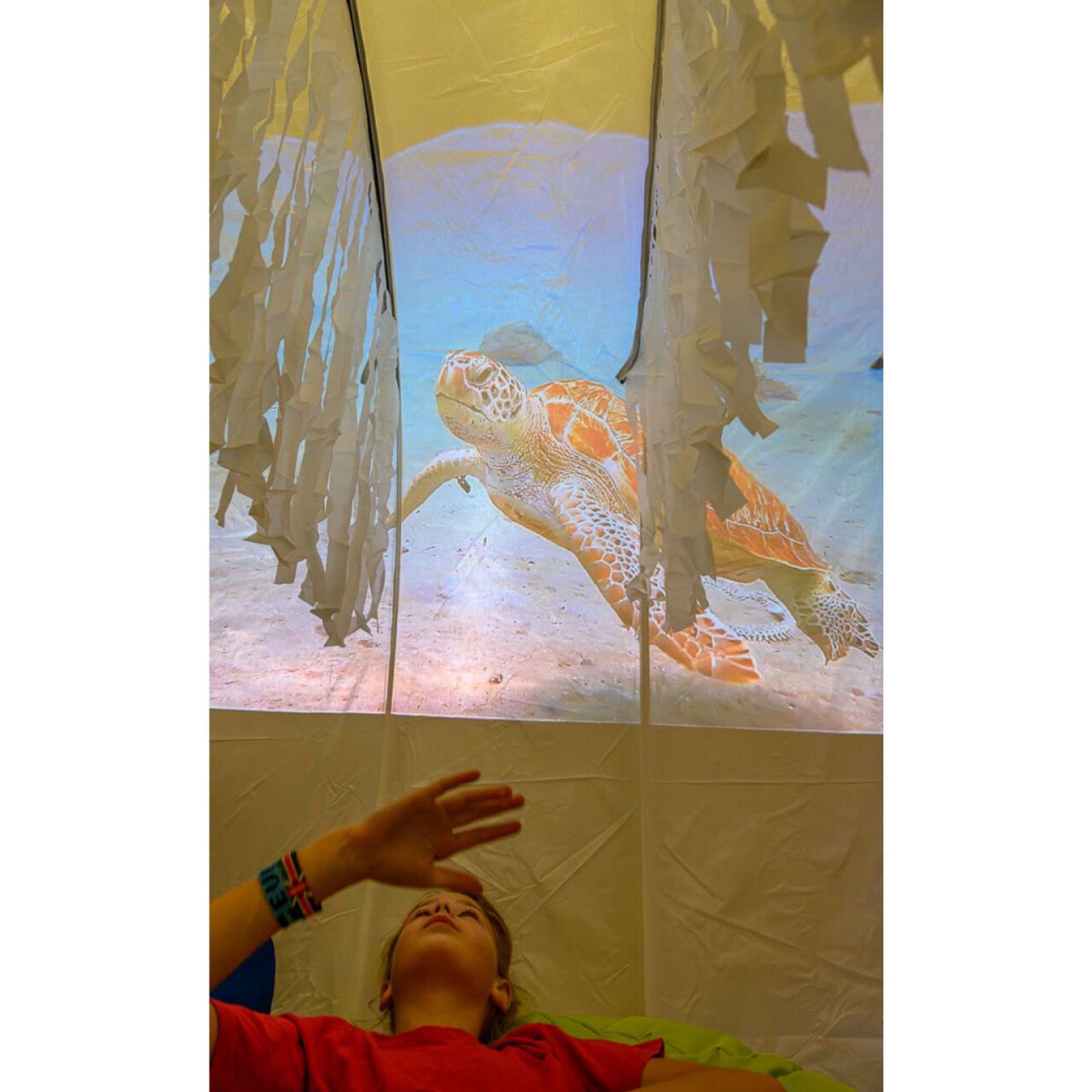 Projection Tunnel