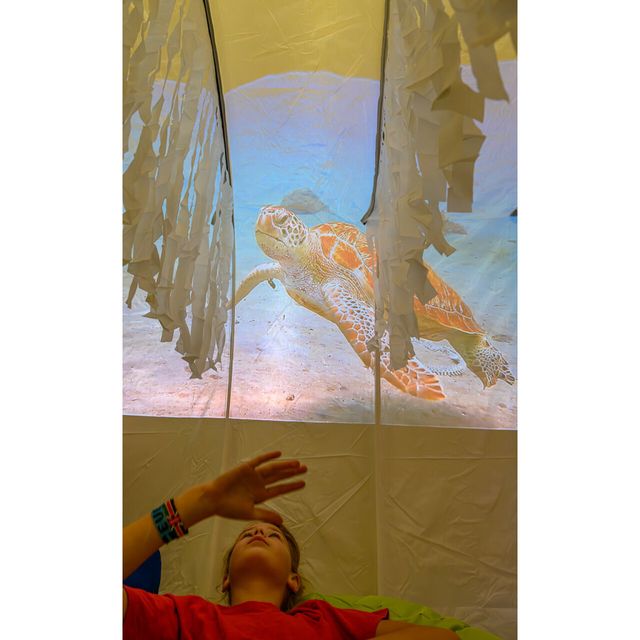 Projection Tunnel