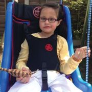 Deluxe Swing Seat Harness