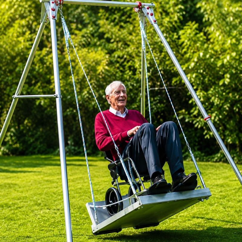 Wheelchair Accessible Swing & Frame