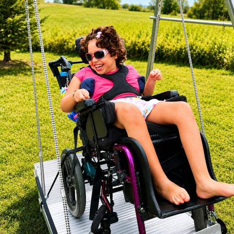 Wheelchair Accessible Swing & Frame