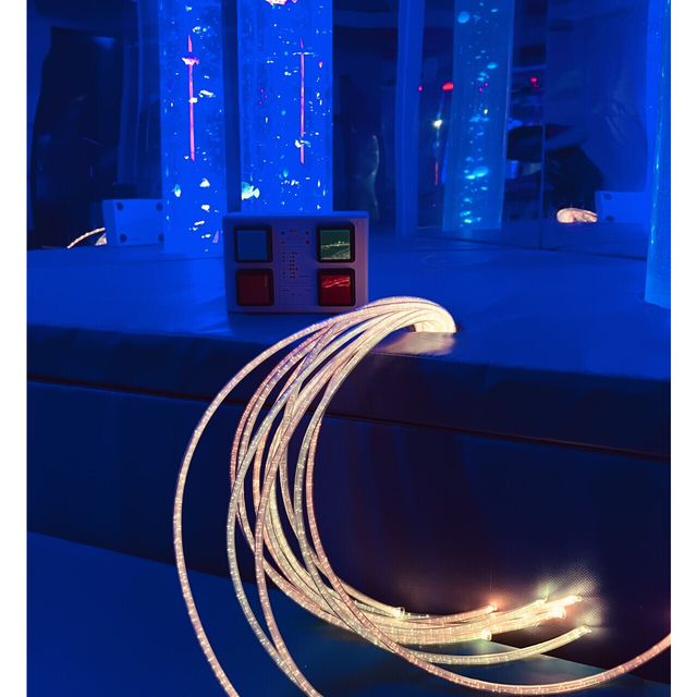 Sensoriska TFH huset