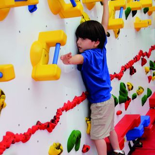 Adaptive Climbing Wall - 12' Wide - Drop Ship