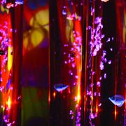 Wireless Bubble Tubes - FREE SHIPPING