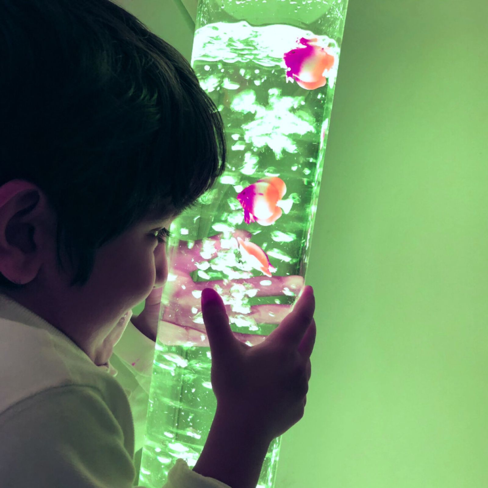 Budget Bubble Tube - Switch Adapted