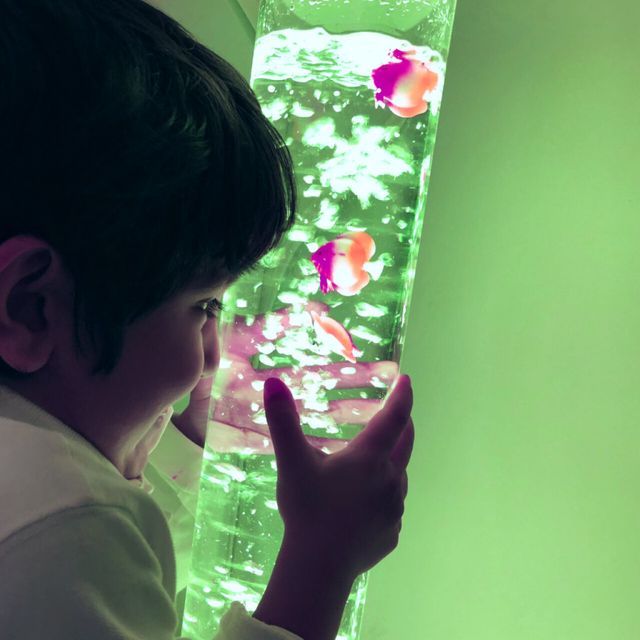 Budget Bubble Tube - Switch Adapted