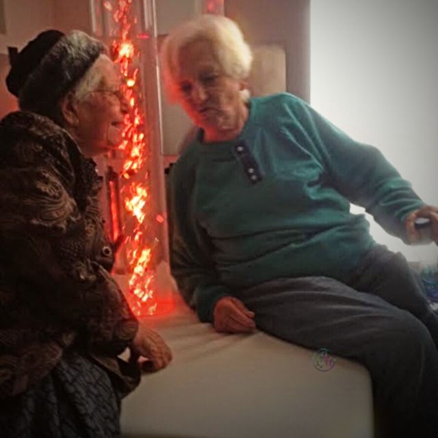 Fish For Bubble Tube  