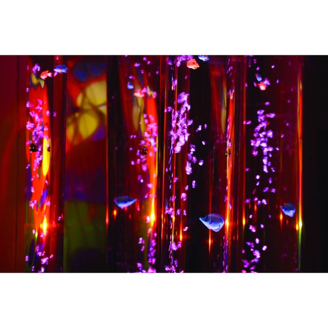 8  Bubble Tube Fish