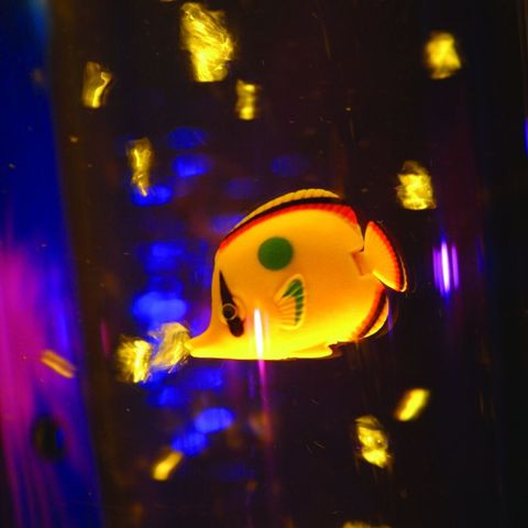 Bubble Column Fish