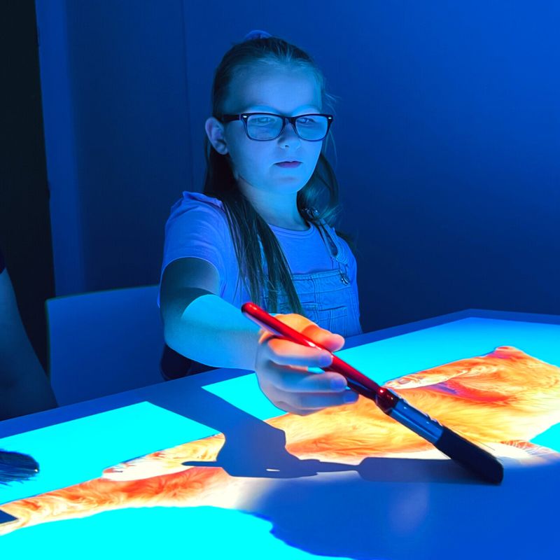 Budii Youth - Interactive Projection System