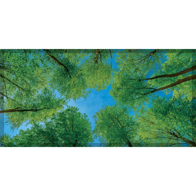 Calming Clouds Light Filters 