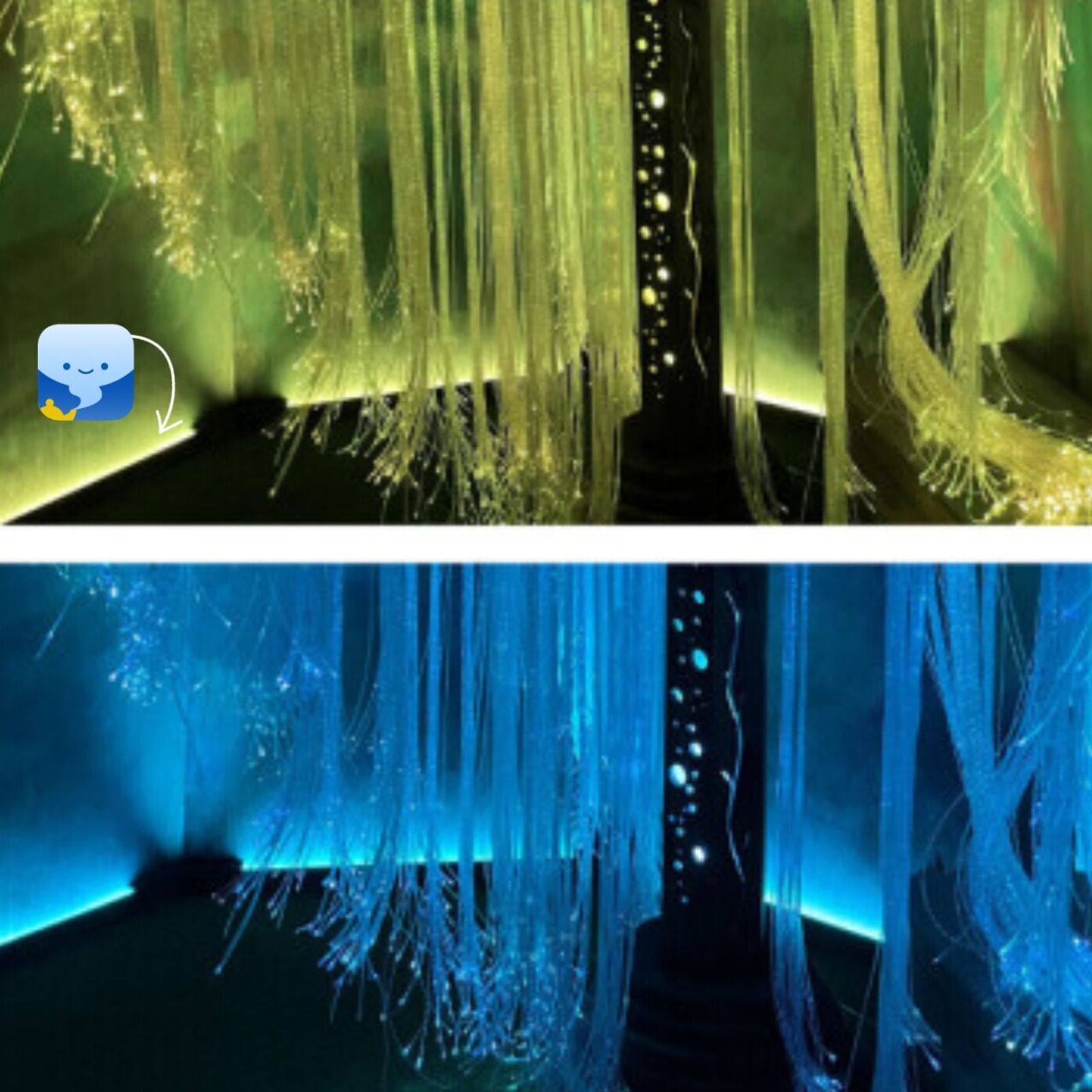 Genie Colour Wash Kits