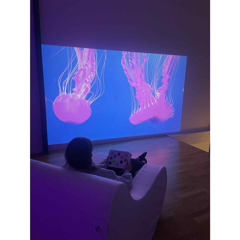 Chromatheme Sensory Projection System Plus