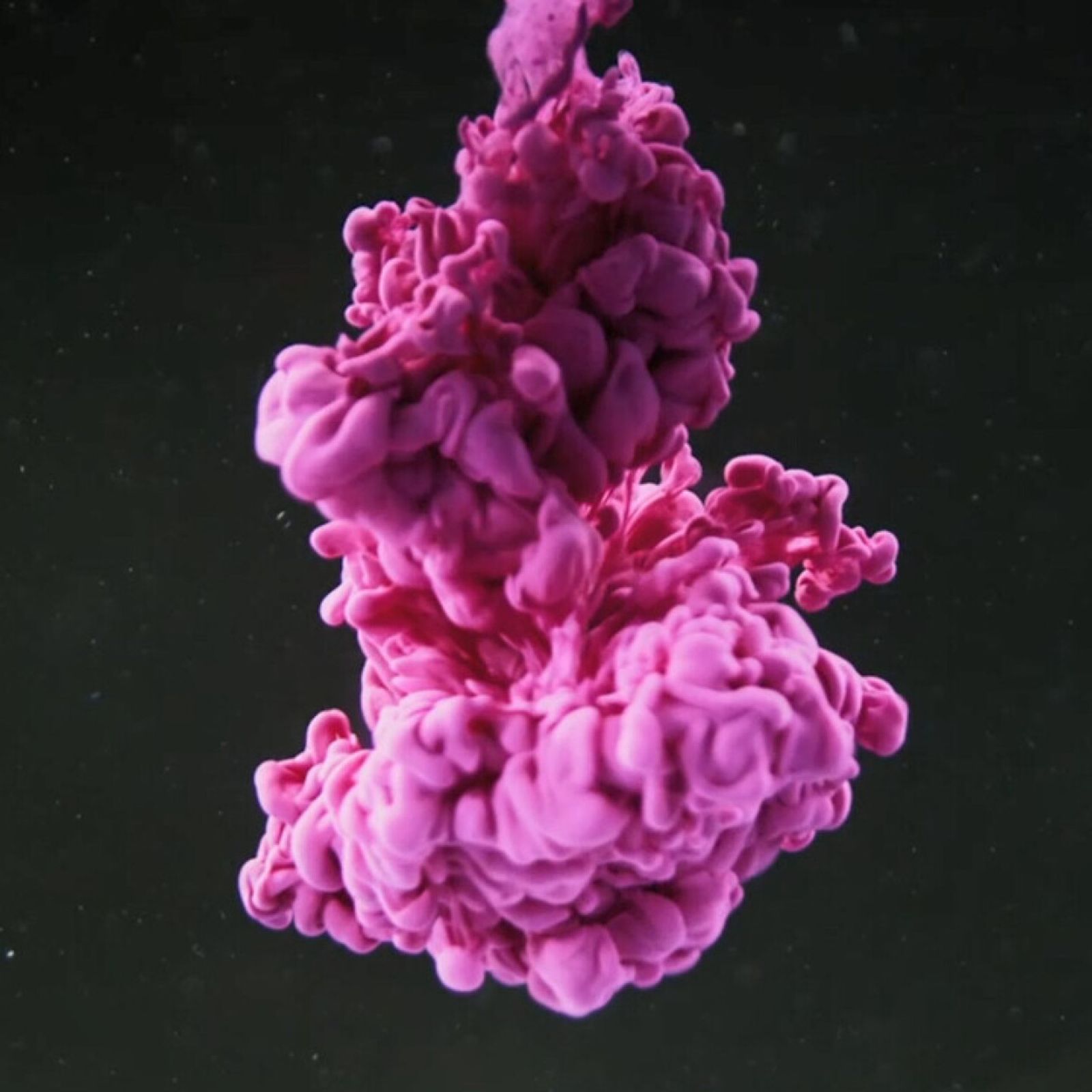 TFH Chromatheme - Multisensorisk Projicering