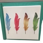 Sensory Room Feather Theme Colour Controller