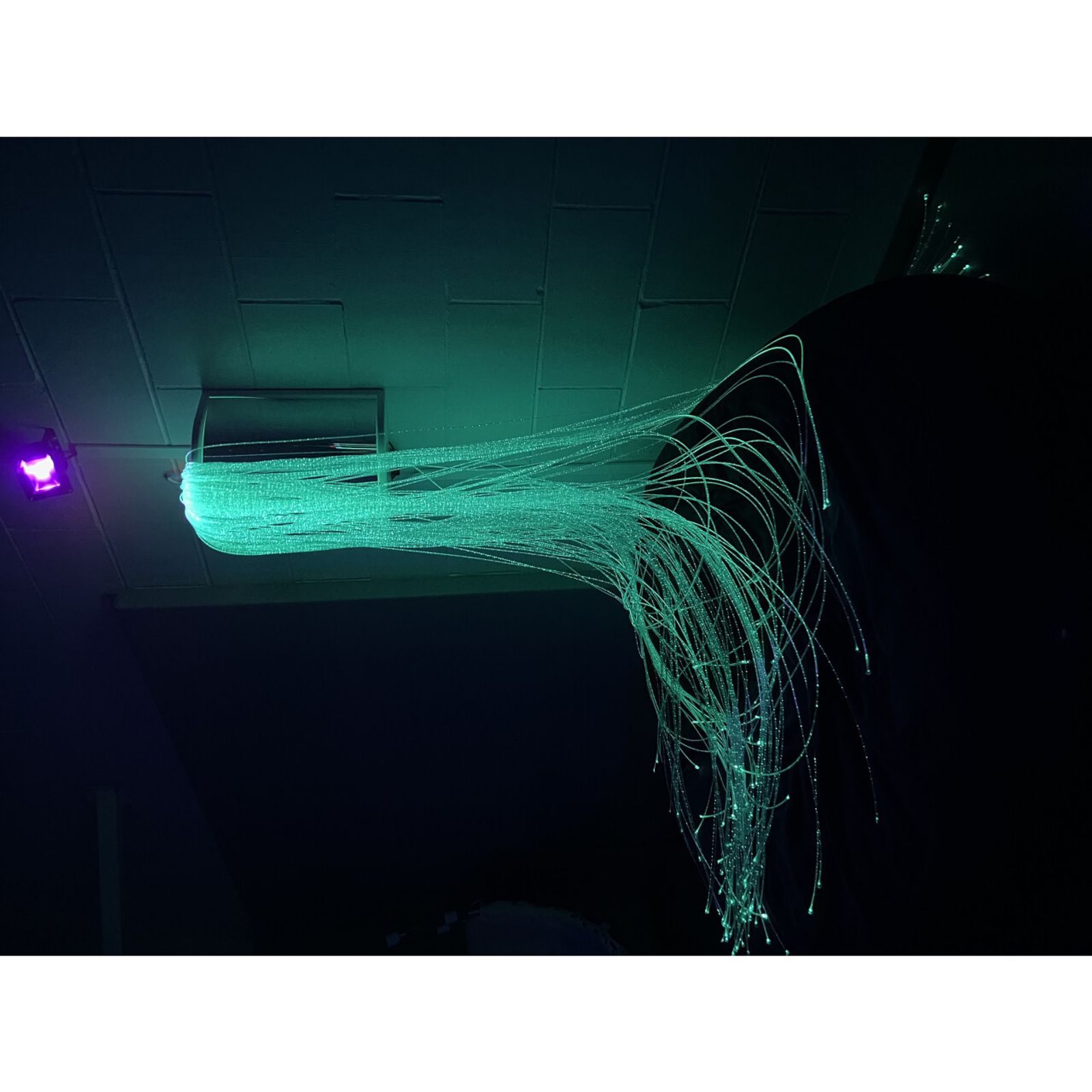 Fibre Optic Light Wall Sconce