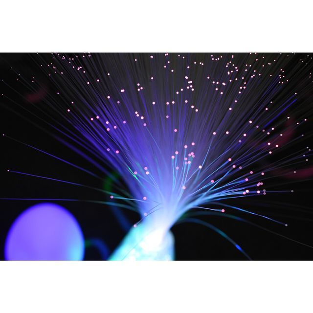 Switch Adapted Fiber Optic Plume 