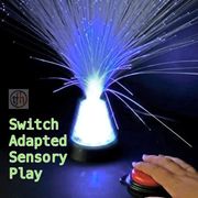 Switch Adapted Fiber Optic Light Plume 