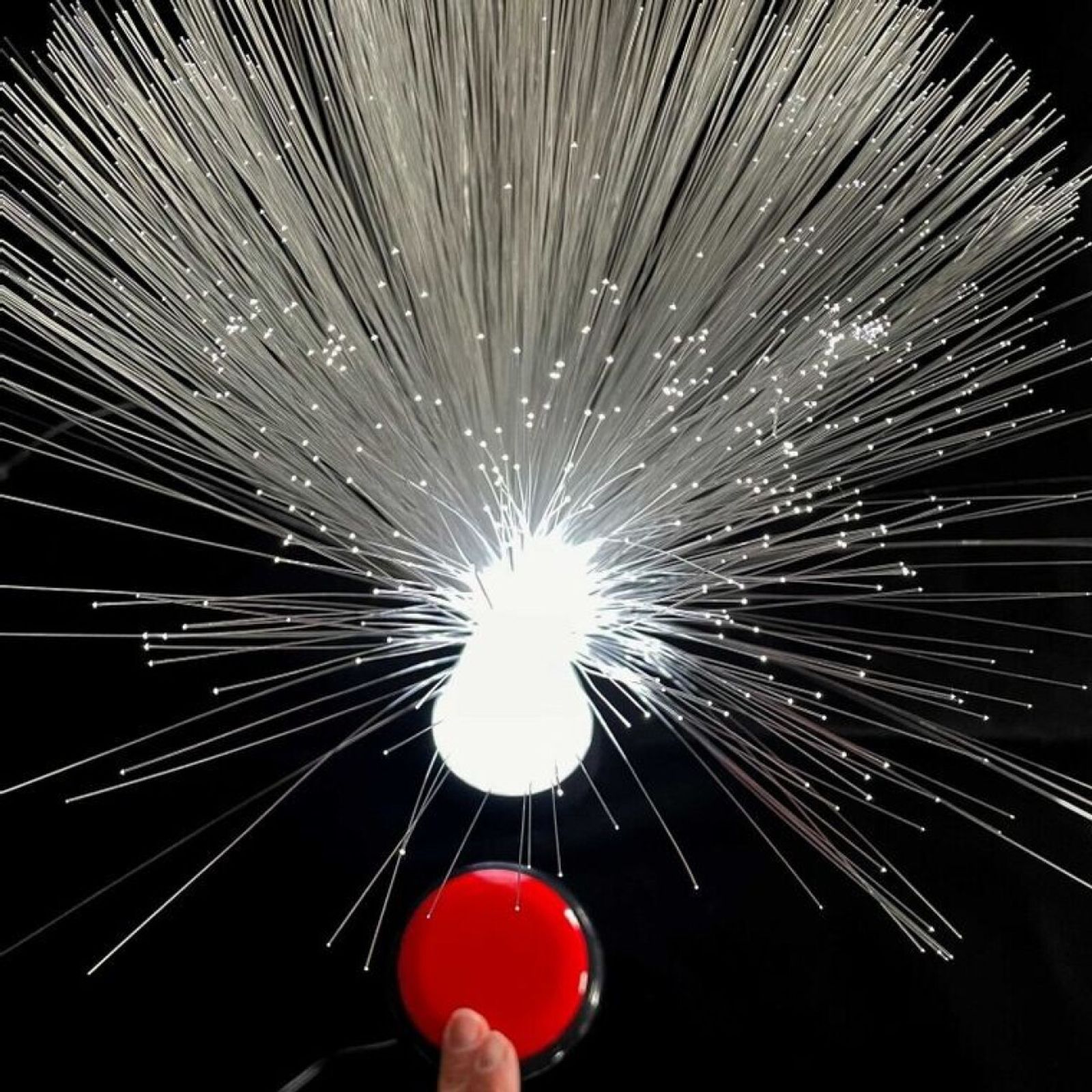 Fiber Optic Light Plume Reward - Switch Adapted