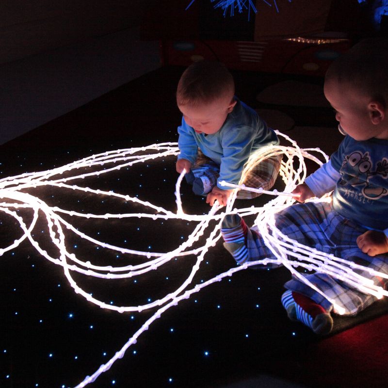 Fibre Optic Tails (Including Light Source)