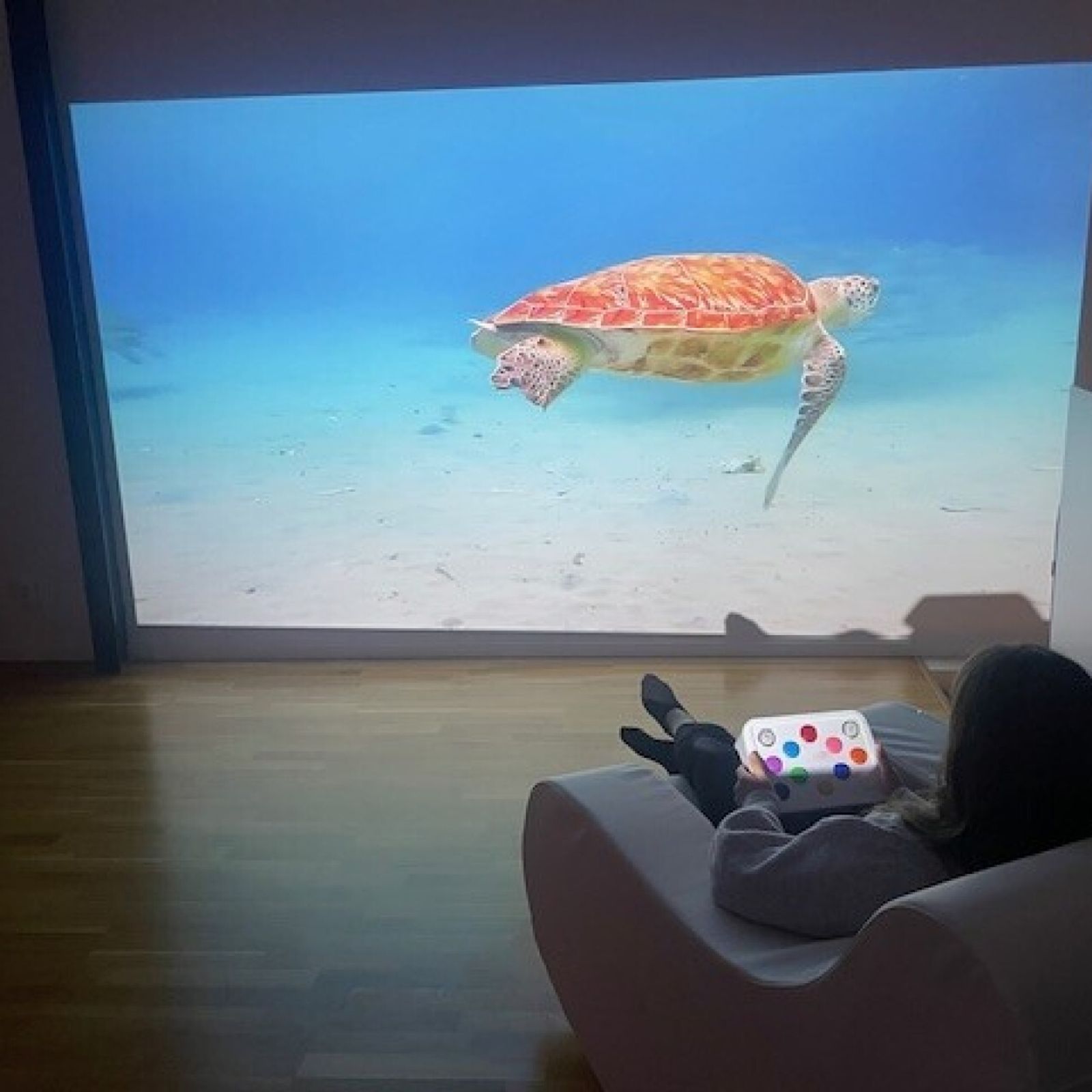 Paket - Chromatheme Projicering