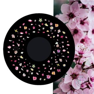 Projector Effects Wheel, Coloured Blossoms