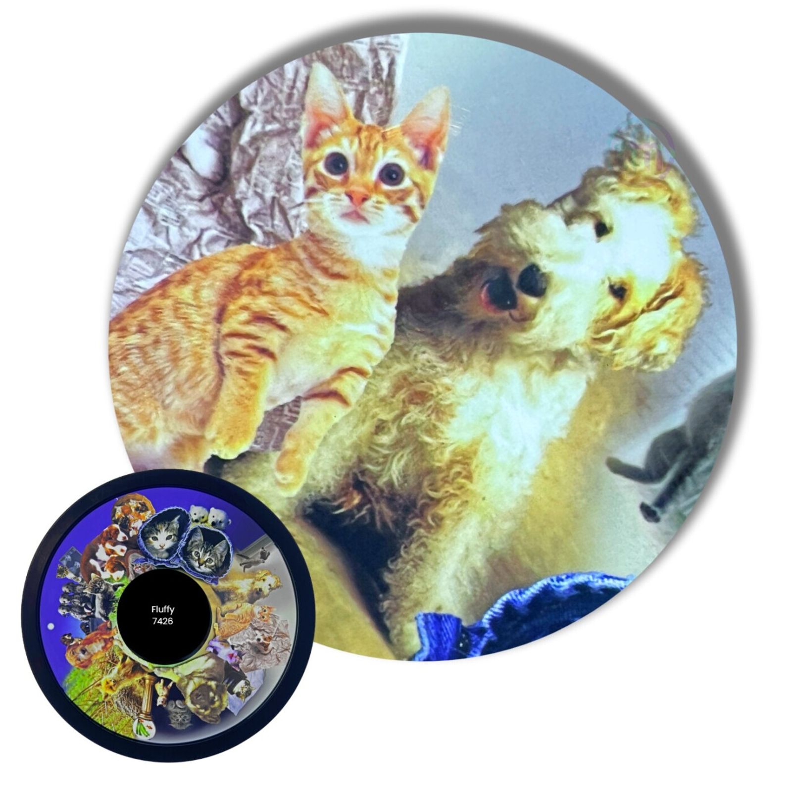 Projector Wheel, Soft Fluffy Pets