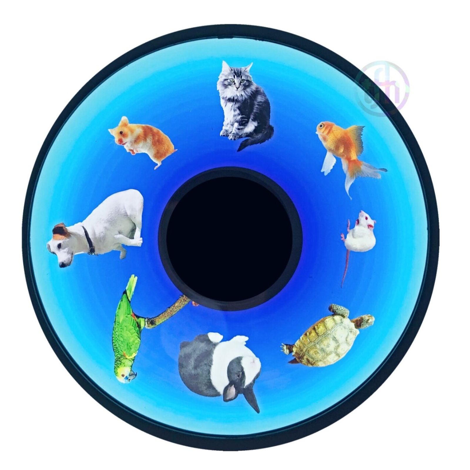 Projector Wheel, Family Pets