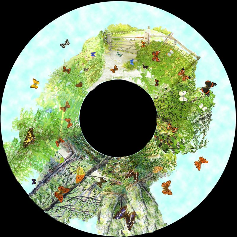 Effects Wheel, Butterflies in the Sky