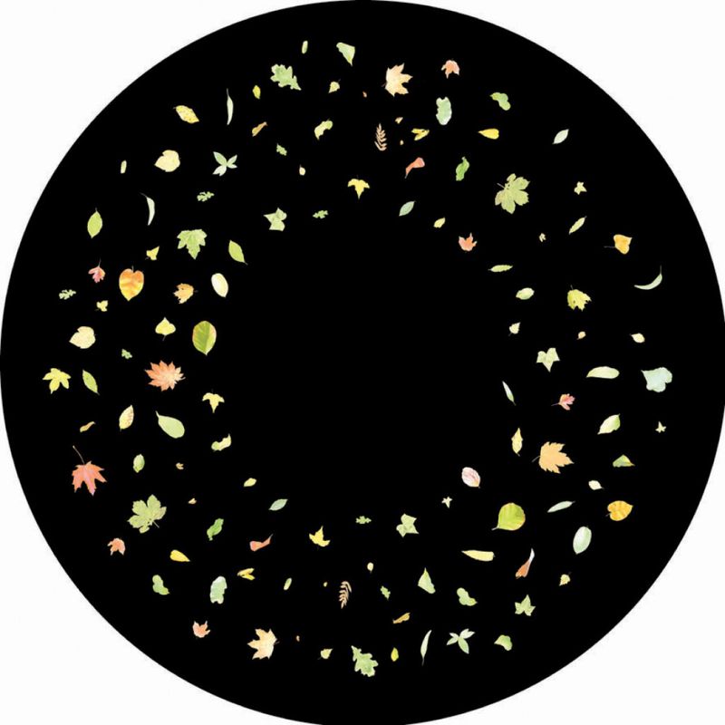 Coloured Leaves