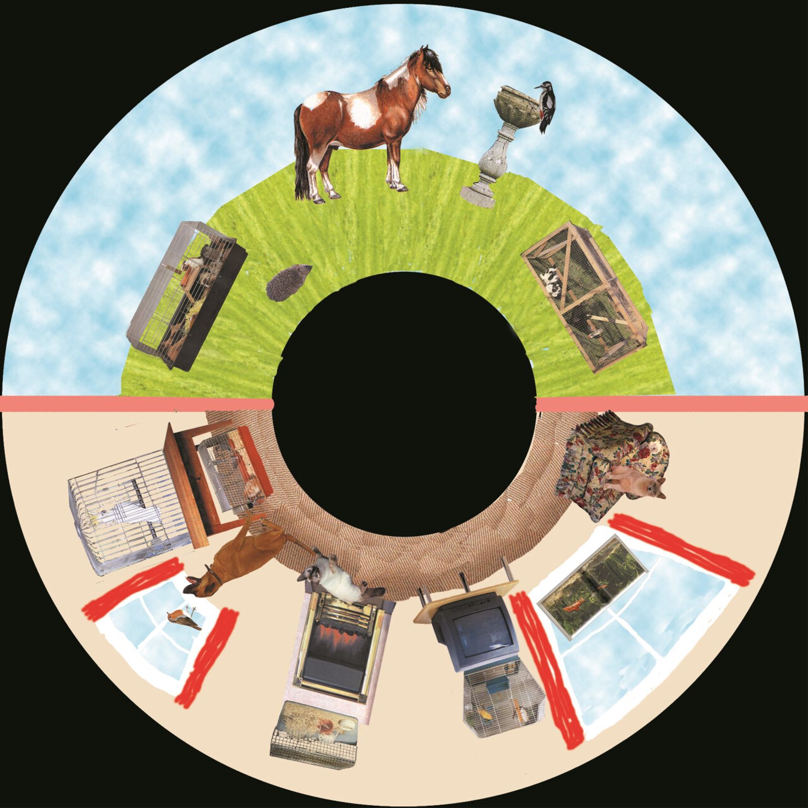 Solar Projector Effects Wheels- Pet - LIMITED SUPPLY