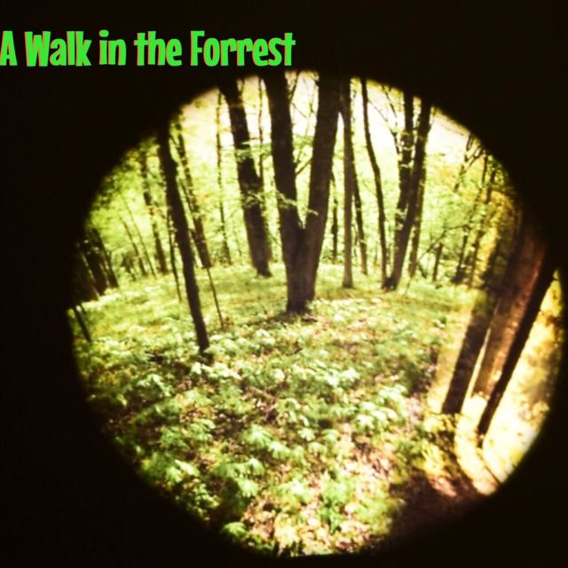 Projector Wheel, Seasonal Forest