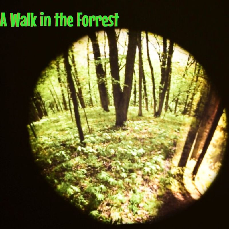 Projector Wheel, Seasonal Forest