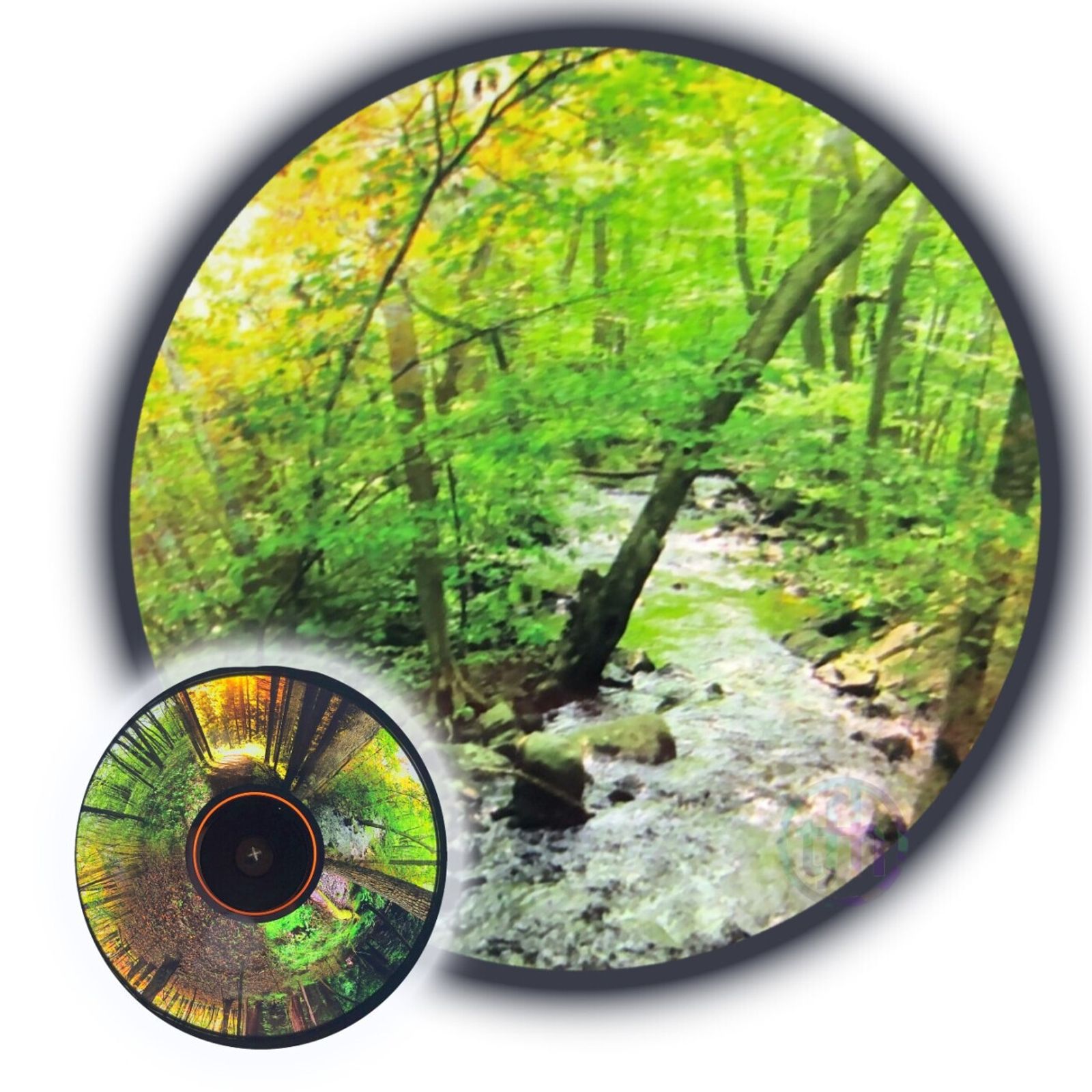Projector Wheel, Seasonal Forest