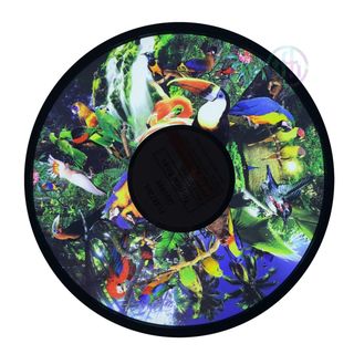 Effekthjul Tropiska Fåglar