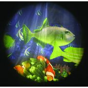 Tropical Fish - Projector Wheel