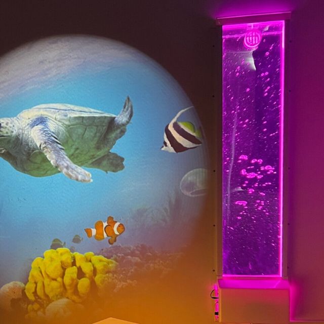 Bubble Wall 60"
