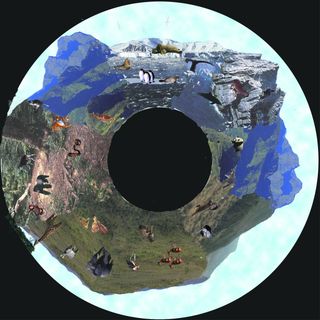 Wilderness - Relaxing Sensory Toy