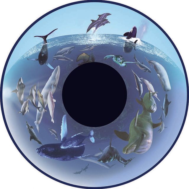 Solar 80 FX Sensory Projektor LED