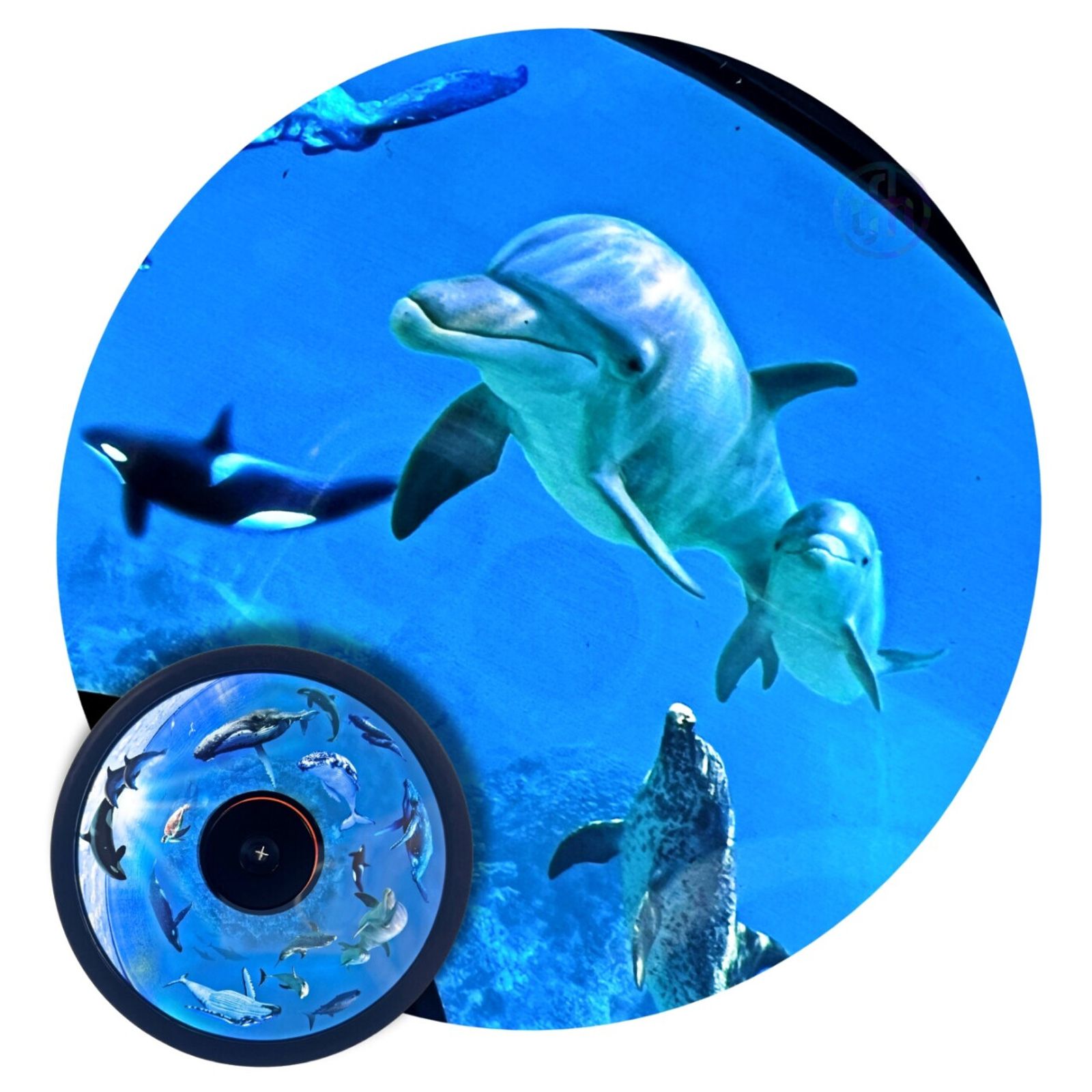Projector Wheel, Whales & Sealife