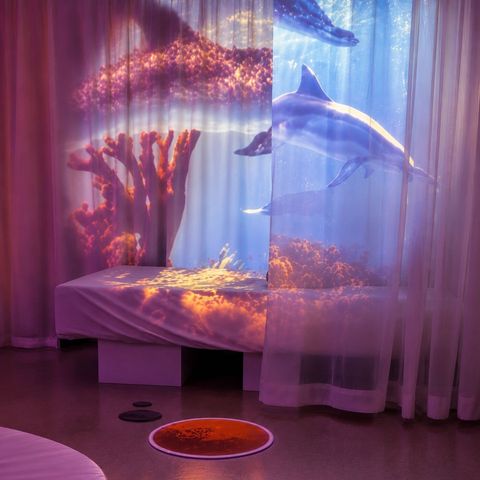 Projection Curtain