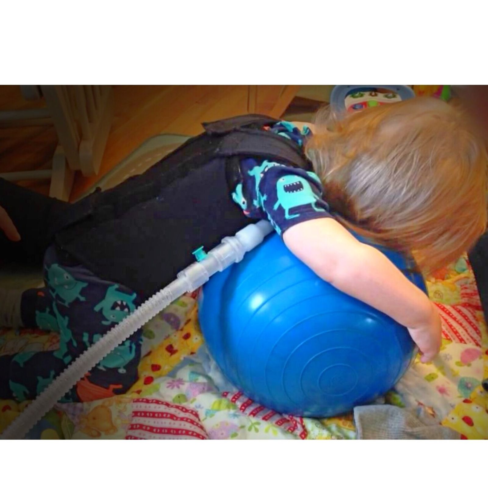 Physio Peanut Therapy Ball 