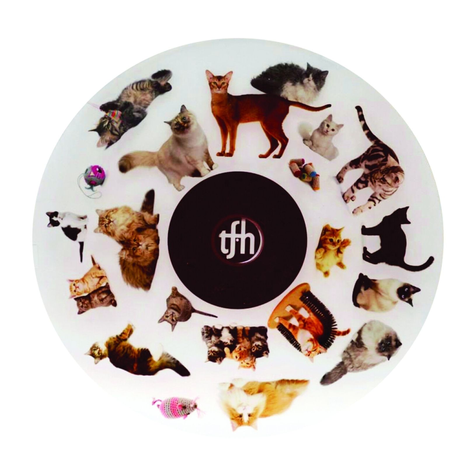 SNAP Projector Wheel - Cats