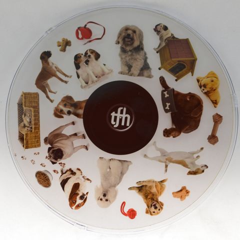 6 Inch Projector Wheel - Dogs Scene