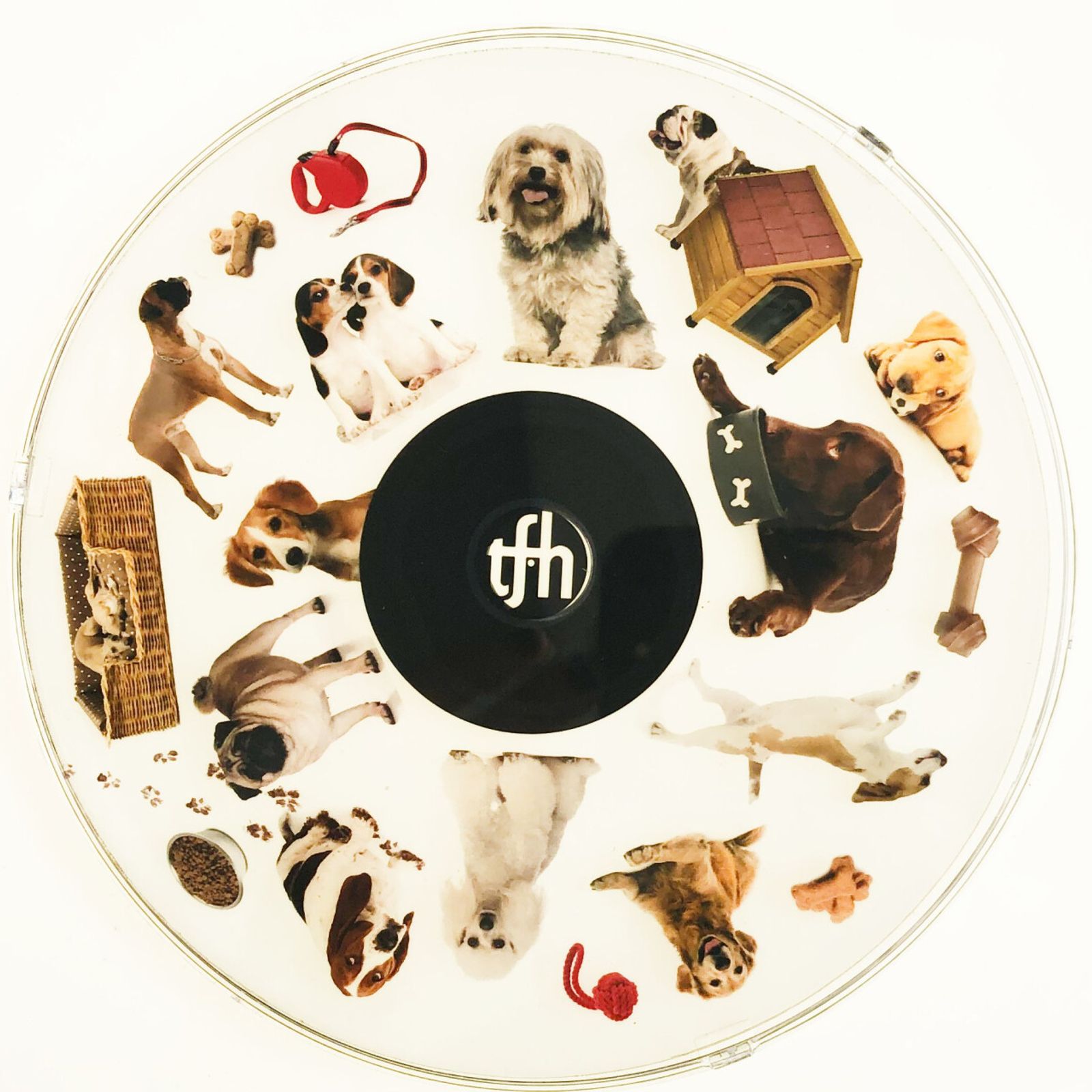 SNAP Projector Wheel   Dogs