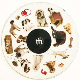 SNAP Projector Wheel   Dogs