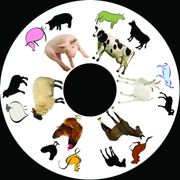 6 Inch Projector Wheel - Farm Scene