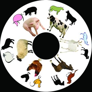 6 Inch Projector Wheel - Farm Scene