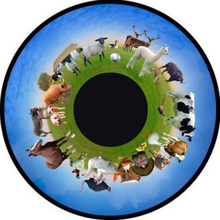 Effekthjul Bondgården